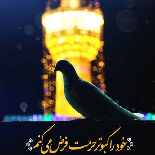 اشعار مرثیه امام رضا (ع) - سال 1400