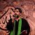 حاج سید مجید بنی فاطمه